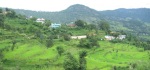 Green view of Sunargaon village
